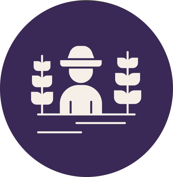 Teora solutions